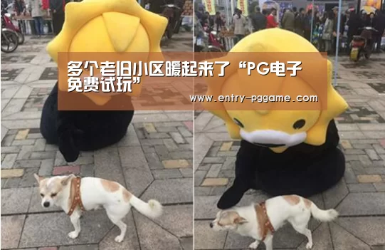 PG电子免费试玩