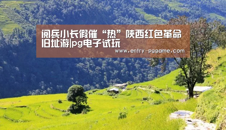 PG电子试玩