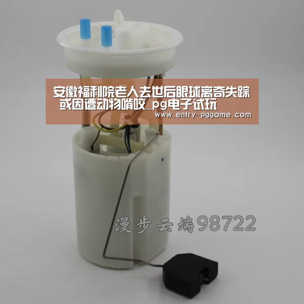 PG电子试玩老虎机